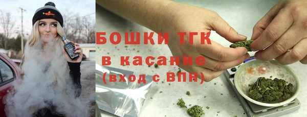стафф Аркадак