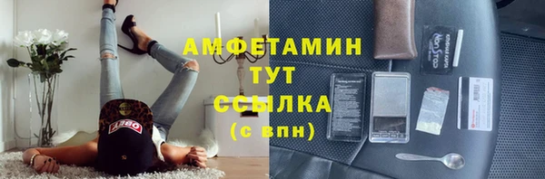 стафф Аркадак