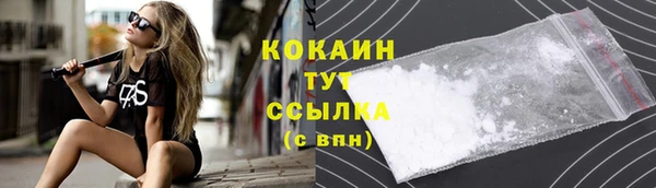 прущий лед Арсеньев