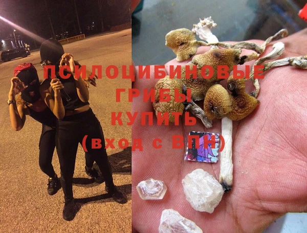 прущий лед Арсеньев