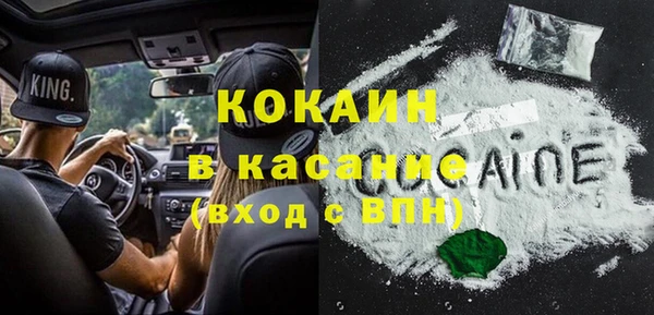 стафф Аркадак