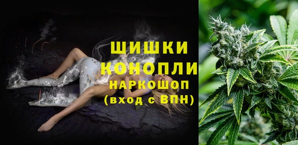 прущий лед Арсеньев