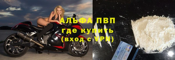 стафф Аркадак